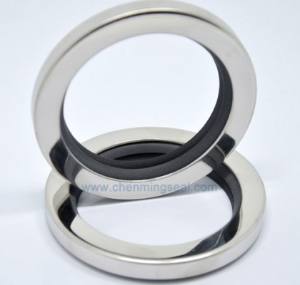 Dual Lip PTFE Oil Seals Stainless Steel Housing