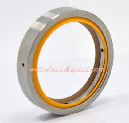 Customized PTFE Oil Seal For Vaccum Pumps Rotary Shaft Oil Seal